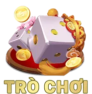 Hoa hồng cao